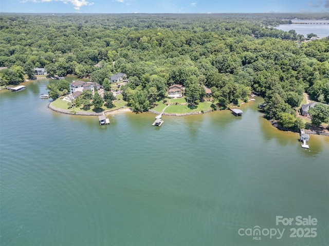 5 Hidden Cove Ln, Clover, SC 29710 - drone / aerial view of a heavily wooded area and a large body of water