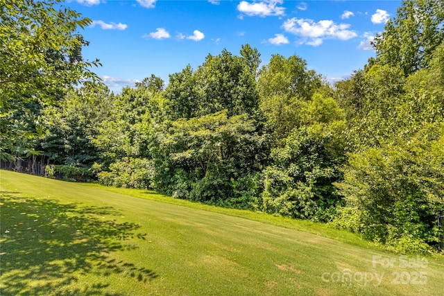 130 E Warfield Dr, Mooresville, NC 28115 - photo 43