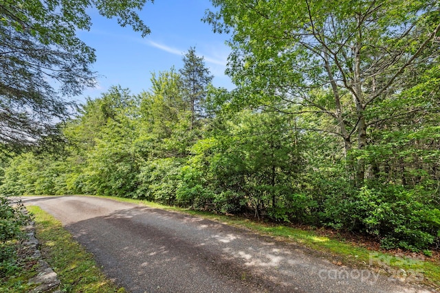117 Sahalee Trl Unit 2, Hendersonville, NC 28739