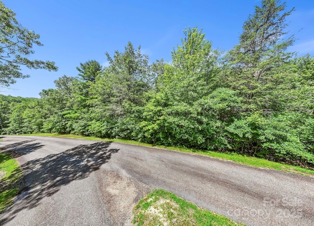 117 Sahalee Trl Unit 2, Hendersonville, NC 28739