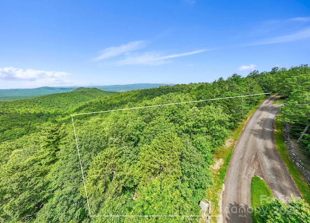 117 Sahalee Trl Unit 2, Hendersonville, NC 28739