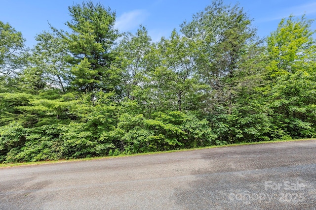 117 Sahalee Trl Unit 2, Hendersonville, NC 28739