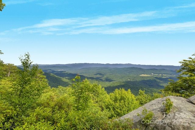 117 Sahalee Trl Unit 2, Hendersonville, NC 28739