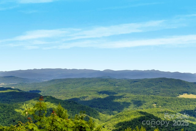 117 Sahalee Trl Unit 2, Hendersonville, NC 28739