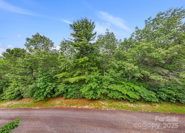 117 Sahalee Trl Unit 2, Hendersonville, NC 28739