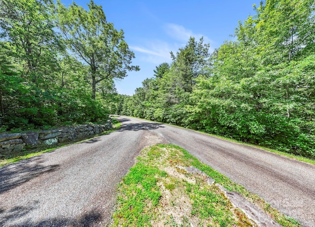 117 Sahalee Trl Unit 2, Hendersonville, NC 28739