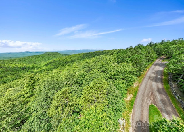 117 Sahalee Trl Unit 2, Hendersonville, NC 28739