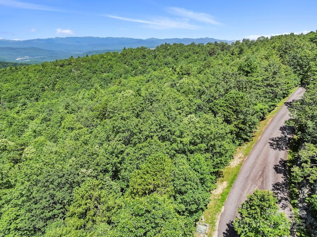 117 Sahalee Trl Unit 2, Hendersonville, NC 28739