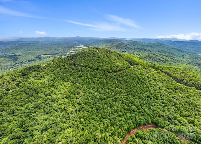 117 Sahalee Trl Unit 2, Hendersonville, NC 28739