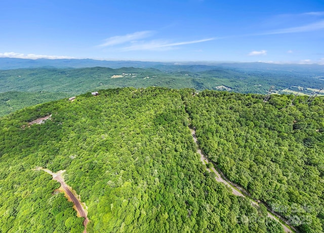 117 Sahalee Trl Unit 2, Hendersonville, NC 28739