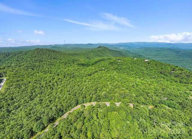 117 Sahalee Trl Unit 2, Hendersonville, NC 28739
