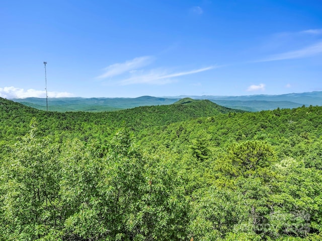 117 Sahalee Trl Unit 2, Hendersonville, NC 28739