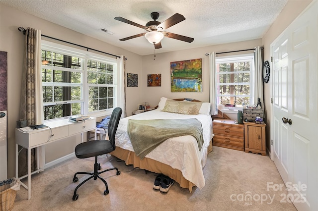 209 Camellia Way, Hendersonville, NC 28739 - carpeted bedroom featuring multiple windows, a textured ceiling, a desk, and ceiling fan