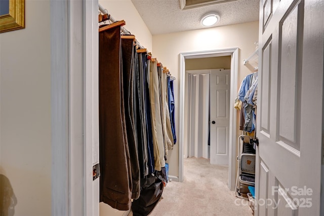 209 Camellia Way, Hendersonville, NC 28739 - spacious closet featuring carpet floors