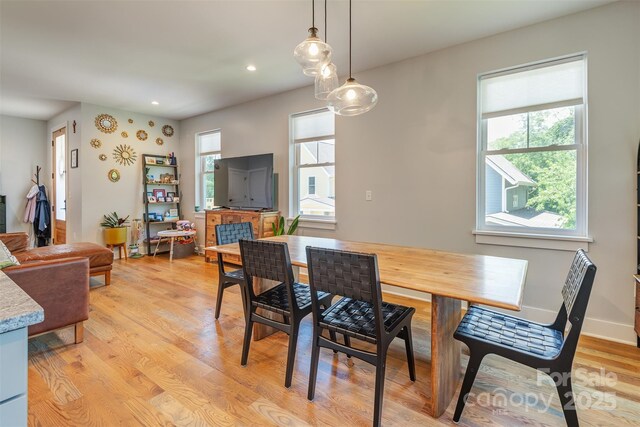 127 Alma Ln, Asheville, NC 28806 - photo 4