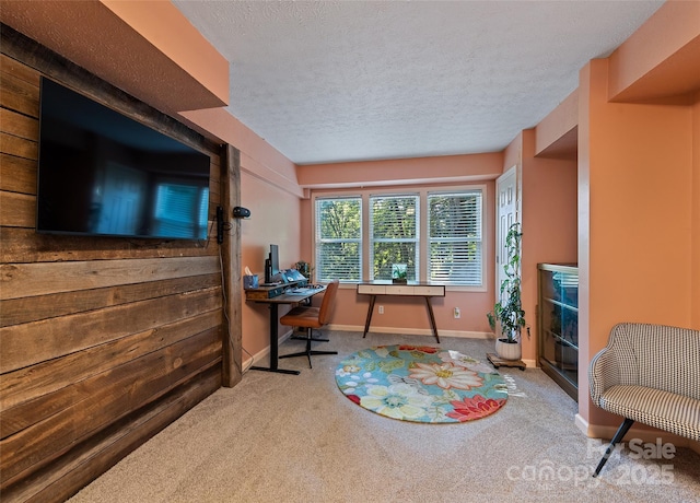 208 Tuckaway Rd, Waynesville, NC 28785 - carpeted home office with a textured ceiling and baseboards