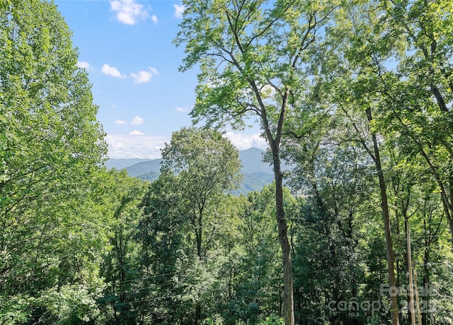 208 Tuckaway Rd, Waynesville, NC 28785 - view of mountain backdrop featuring a heavily wooded area