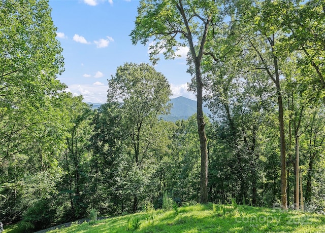 208 Tuckaway Rd, Waynesville, NC 28785 - mountain view featuring a forest