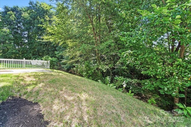 14231 Drake Watch Ln, Charlotte, NC 28262 - photo 30
