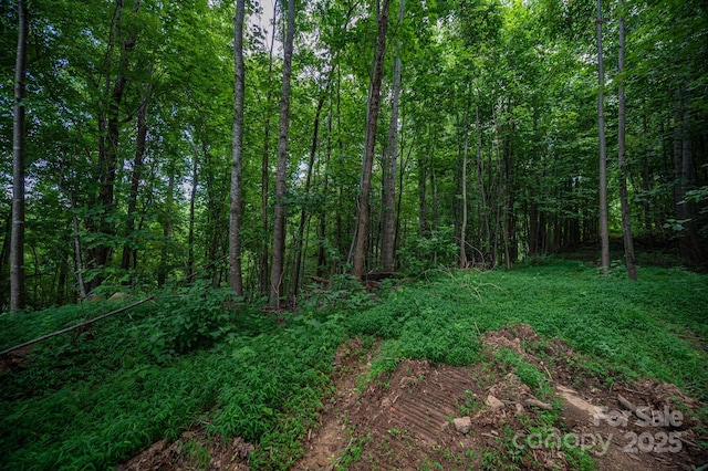 LOT7 Highland Dr, Lake Lure, NC 28746 - photo 3
