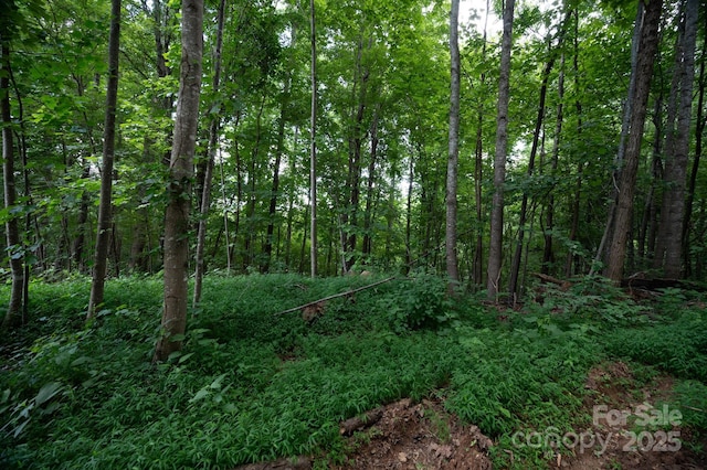 LOT7 Highland Dr, Lake Lure, NC 28746 - photo 4