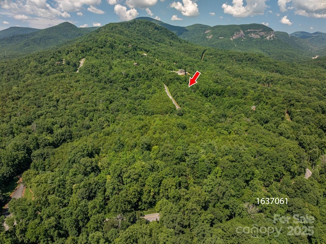 LOT7 Highland Dr, Lake Lure, NC 28746 - photo 8