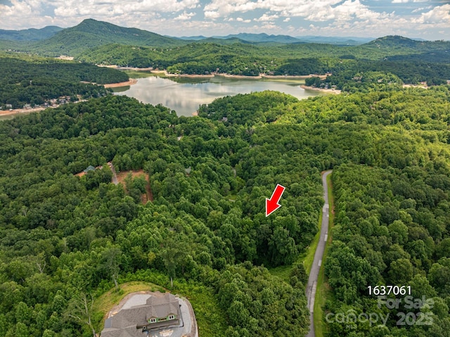 LOT7 Highland Dr, Lake Lure, NC 28746 - photo 9