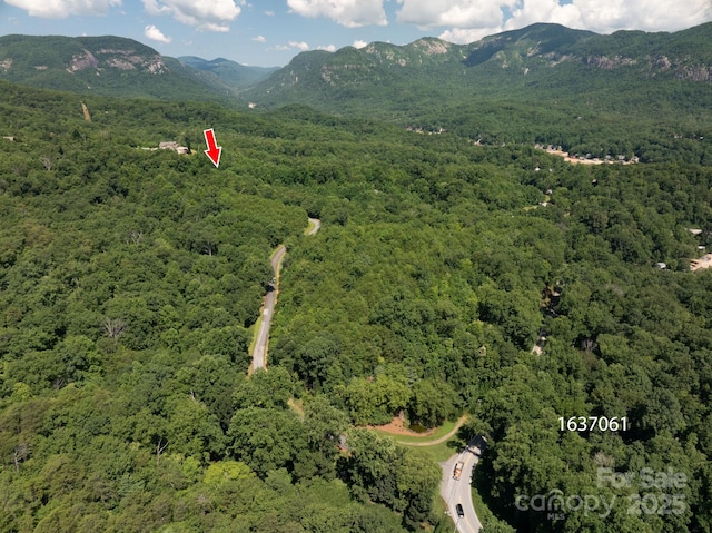 LOT7 Highland Dr, Lake Lure, NC 28746 - photo 11