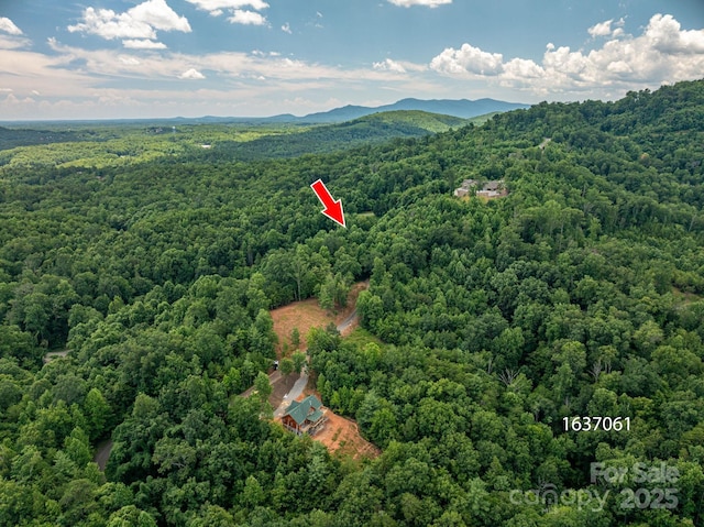 LOT7 Highland Dr, Lake Lure, NC 28746 - photo 12