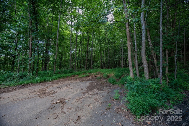 LOT7 Highland Dr, Lake Lure, NC 28746 - photo 13