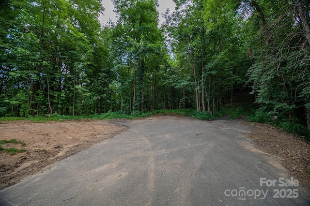 LOT7 Highland Dr, Lake Lure, NC 28746 - photo 14