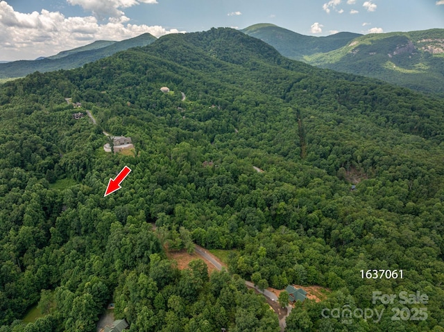 LOT7 Highland Dr, Lake Lure, NC 28746 - photo 15