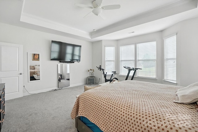 2026 Union Grove Ln, Indian Trail, NC 28079 - bedroom featuring ornamental molding, a raised ceiling, multiple windows, and carpet