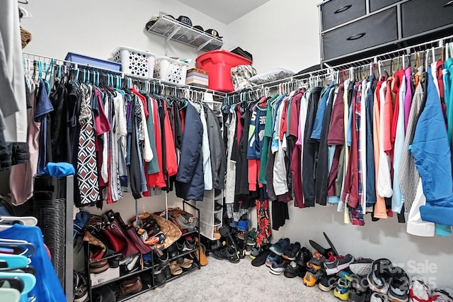2026 Union Grove Ln, Indian Trail, NC 28079 - walk in closet with carpet