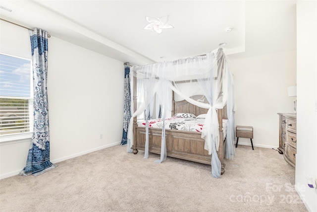 6020 Sayles Way, Fort Mill, SC 29715 - photo 18