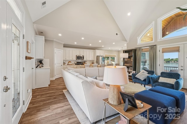347 Landing Trl, Mount Gilead, NC 27306 - living area featuring light wood-style floors, plenty of natural light, recessed lighting, high vaulted ceiling, and french doors
