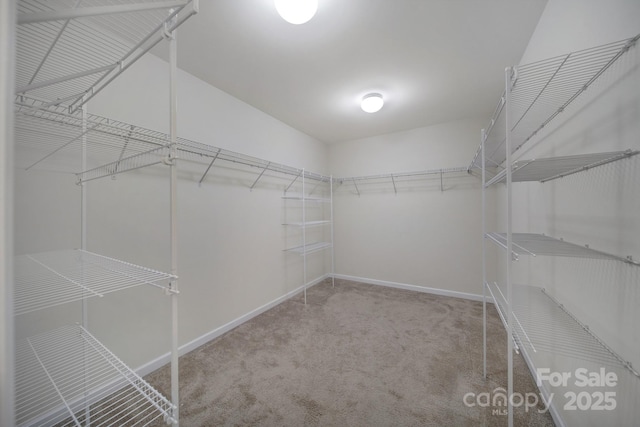 10328 Ebbets Rd, Charlotte, NC 28273 - walk in closet featuring carpet