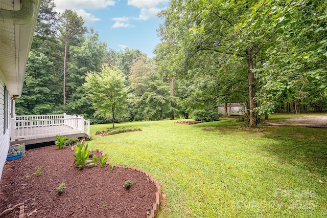7362 Henry Harris Rd, Lancaster, SC 29720 - photo 7
