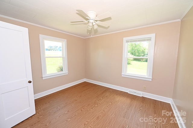 1667 Baton School Rd, Granite Falls, NC 28630 - photo 29