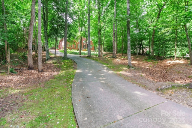 1227 Cabin Creek Ct, Fort Mill, SC 29715 - photo 2