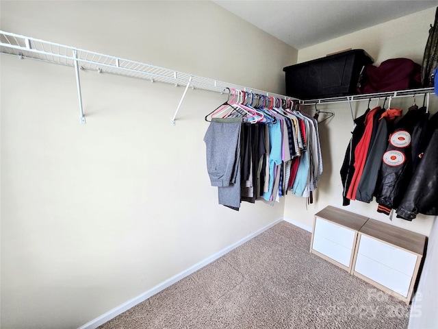 10302 Newbridge Rd, Charlotte, NC 28278 - spacious closet featuring carpet floors