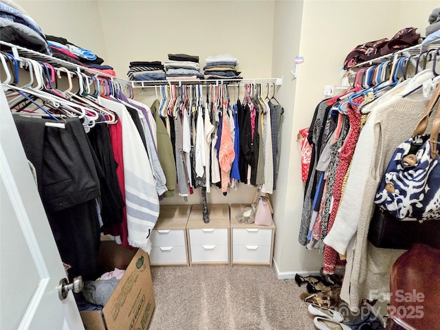 10302 Newbridge Rd, Charlotte, NC 28278 - walk in closet featuring carpet flooring