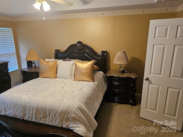 935 Wind Carved Ln, Monroe, NC 28110 - bedroom with carpet flooring