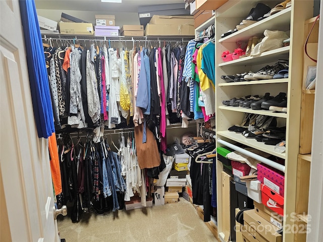 935 Wind Carved Ln, Monroe, NC 28110 - view of spacious closet