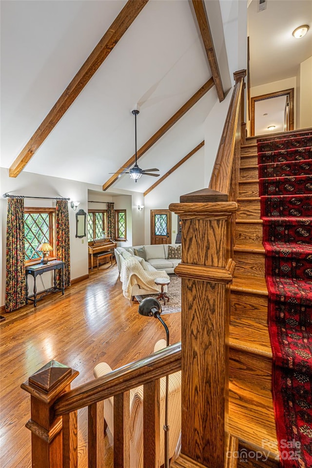 31 Sumner Pl, Asheville, NC 28804 - photo 18