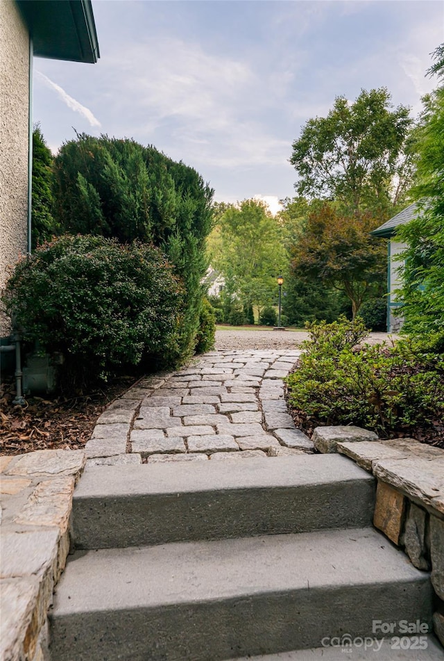 31 Sumner Pl, Asheville, NC 28804 - photo 34