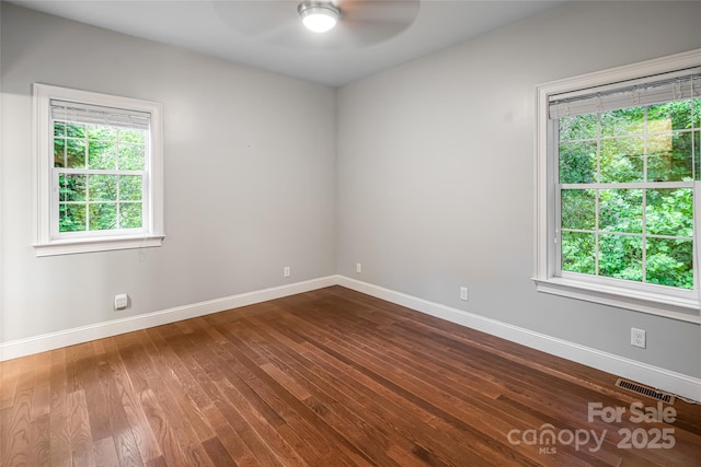 31 Sumner Pl, Asheville, NC 28804 - photo 39