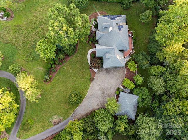 31 Sumner Pl, Asheville, NC 28804 - photo 45