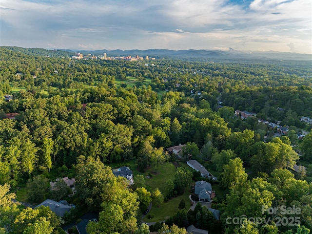 31 Sumner Pl, Asheville, NC 28804 - photo 48