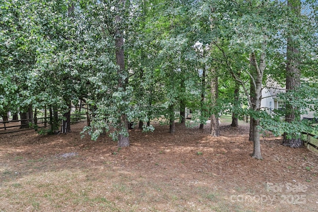 11100 Scrimshaw Ln, Charlotte, NC 28215 - view of yard